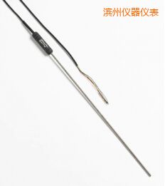濱州高性能金屬桿標(biāo)準(zhǔn)鉑電阻溫度計