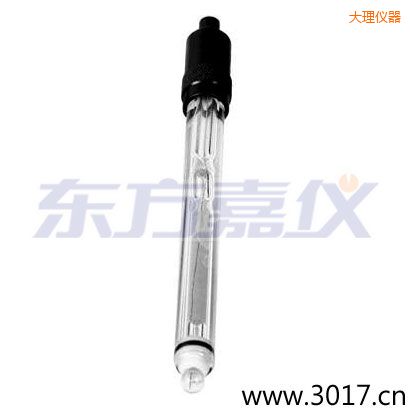 大理玻璃外殼純水電極