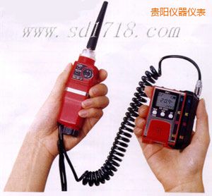 貴陽(yáng)可燃?xì)怏w檢測(cè)報(bào)警儀