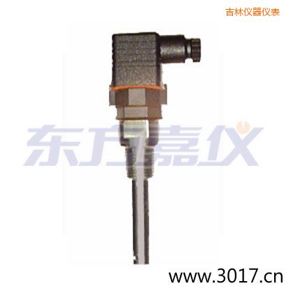 吉林含有溫度的兩線(xiàn)電導(dǎo)率電極