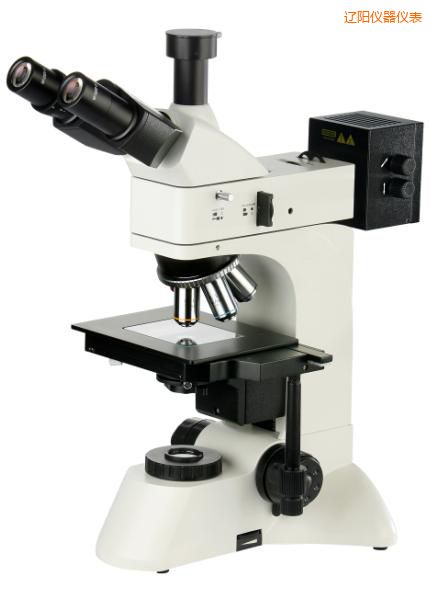 �|�͸��������@΢�R