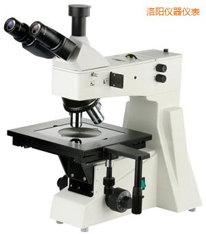 ���(y��ng)���ý����@΢�R