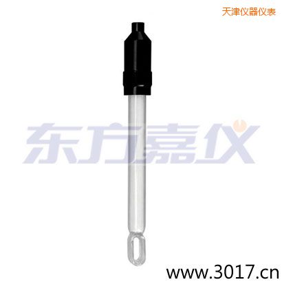 天津無溫補(bǔ)兩線電導(dǎo)率電極