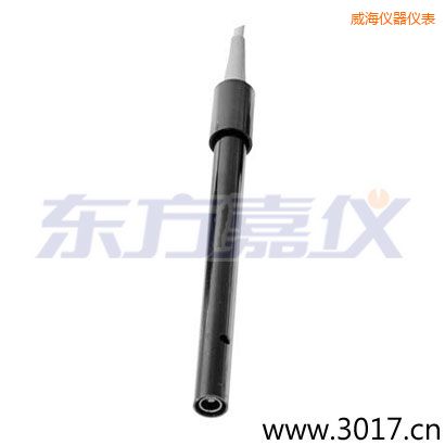 威海含有溫度的兩線電導(dǎo)率電極