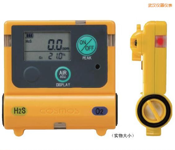 武漢復(fù)合型氣體檢測器