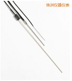 株洲R 型和 S 型標準熱電偶