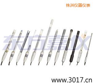 株洲離子選擇性電極